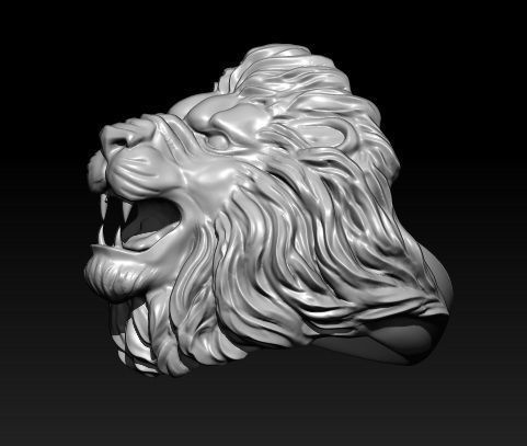 ZbrushƷչʾ